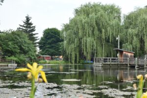 view of the pond at the Saginaw Children's zoo during summer