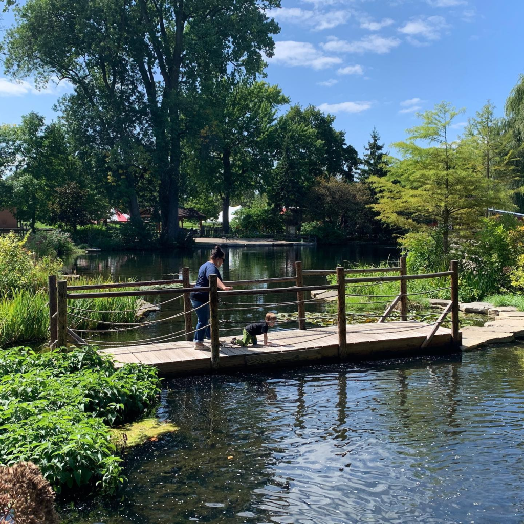 A Glimpse of Zoo History: The Pond – Saginaw Children's Zoo