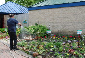 Adopt a Garden