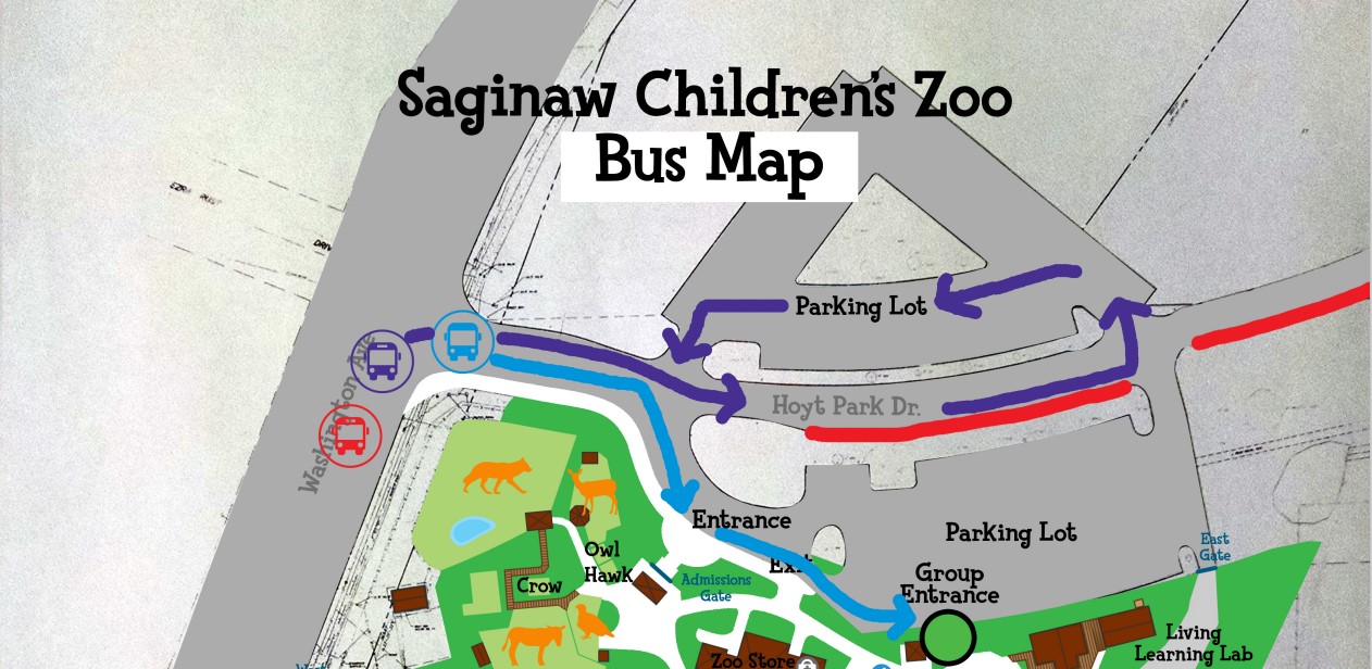Map Saginaw lot showing routes for busses to park