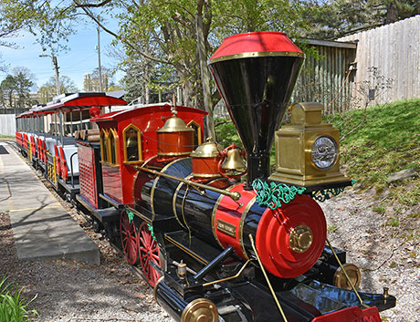 Red and black Zoo Train at rest on its tracks
