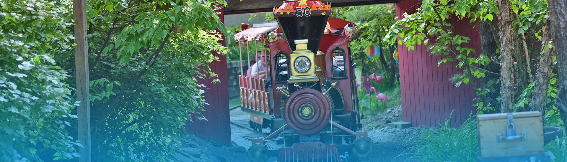 Zoo Train riding on tracks under covered bridge