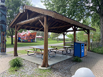 Birthday Party Pavilion