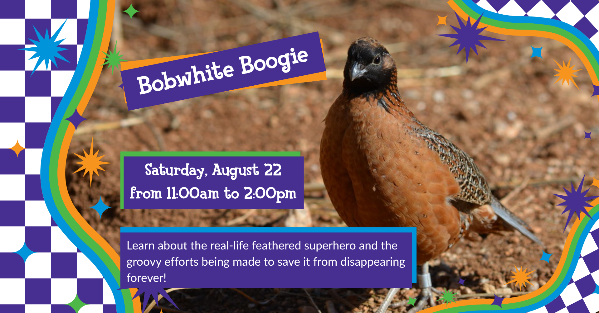 Bobwhite Boogie banner with images of a Masked Bobwhite for Bobwhite Boogie on August 22 from 11:00am to 2:00pm