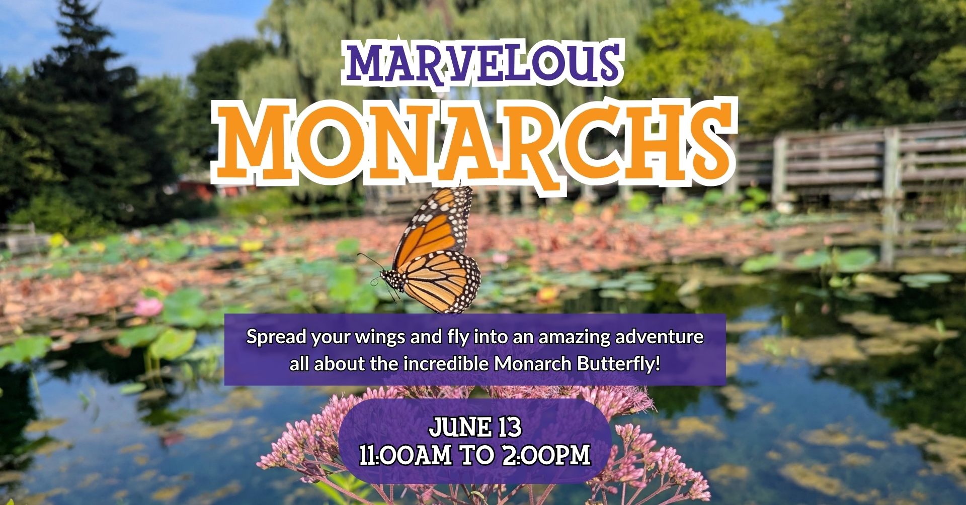 Photo of a Monarch Butterfly with the words Marvelous Monarchs June 13 from 11:00am to 2:00pm