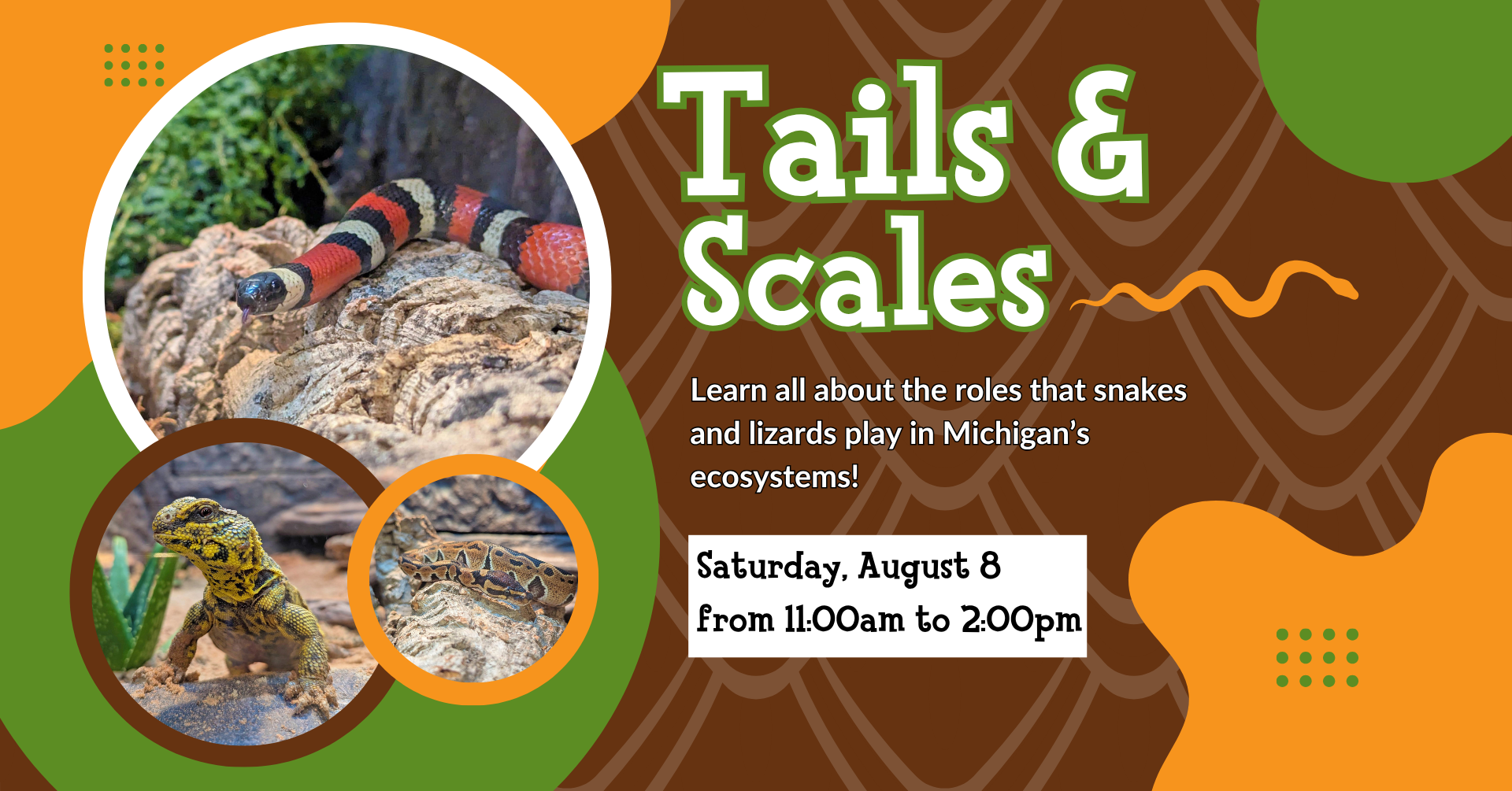 Tails & Scales