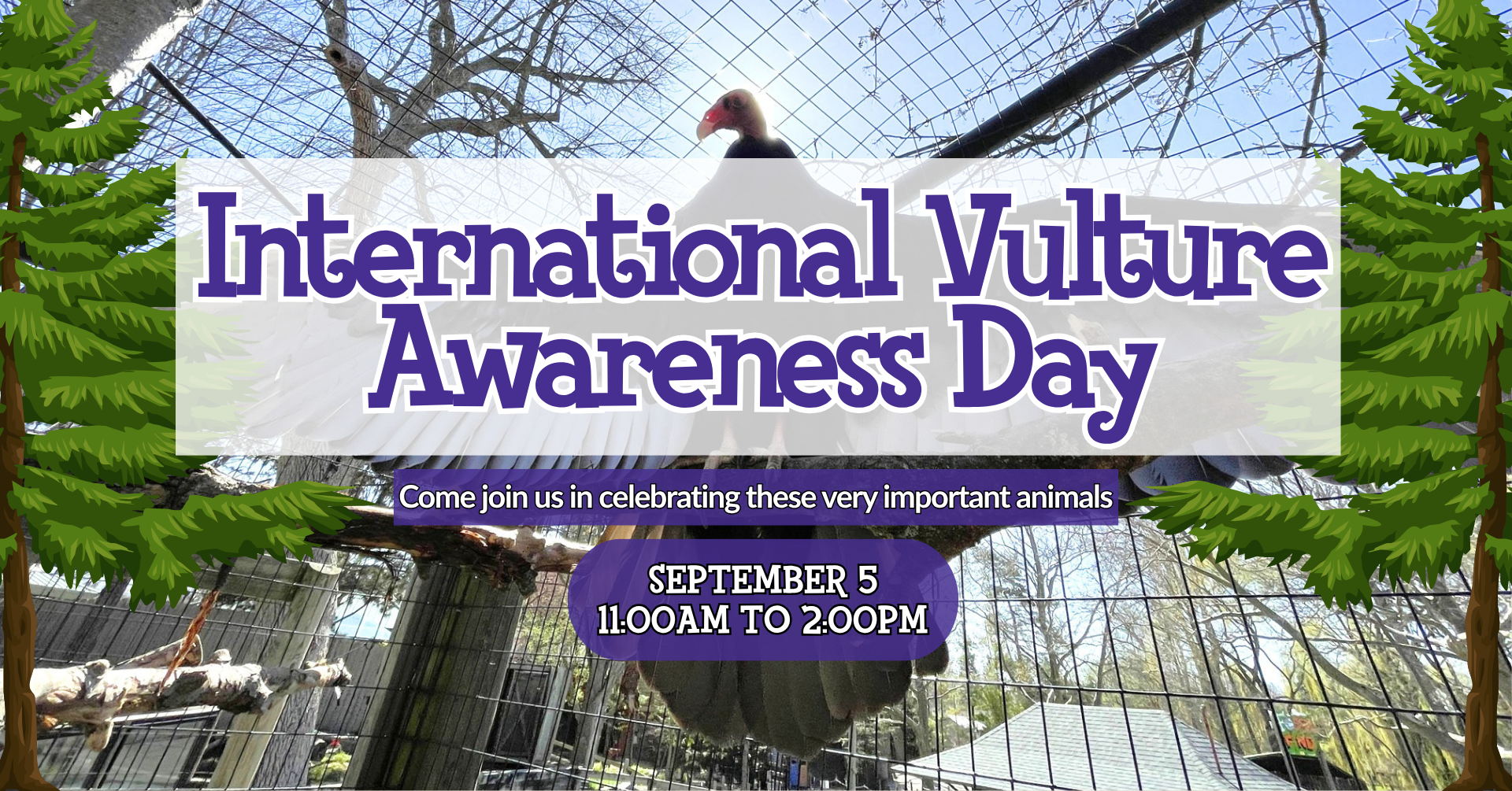 International Vulture Awareness Day banner with image of a Turkey Vulture for International Vulture Awareness Day on September 5 from 11:00am to 2:00pm