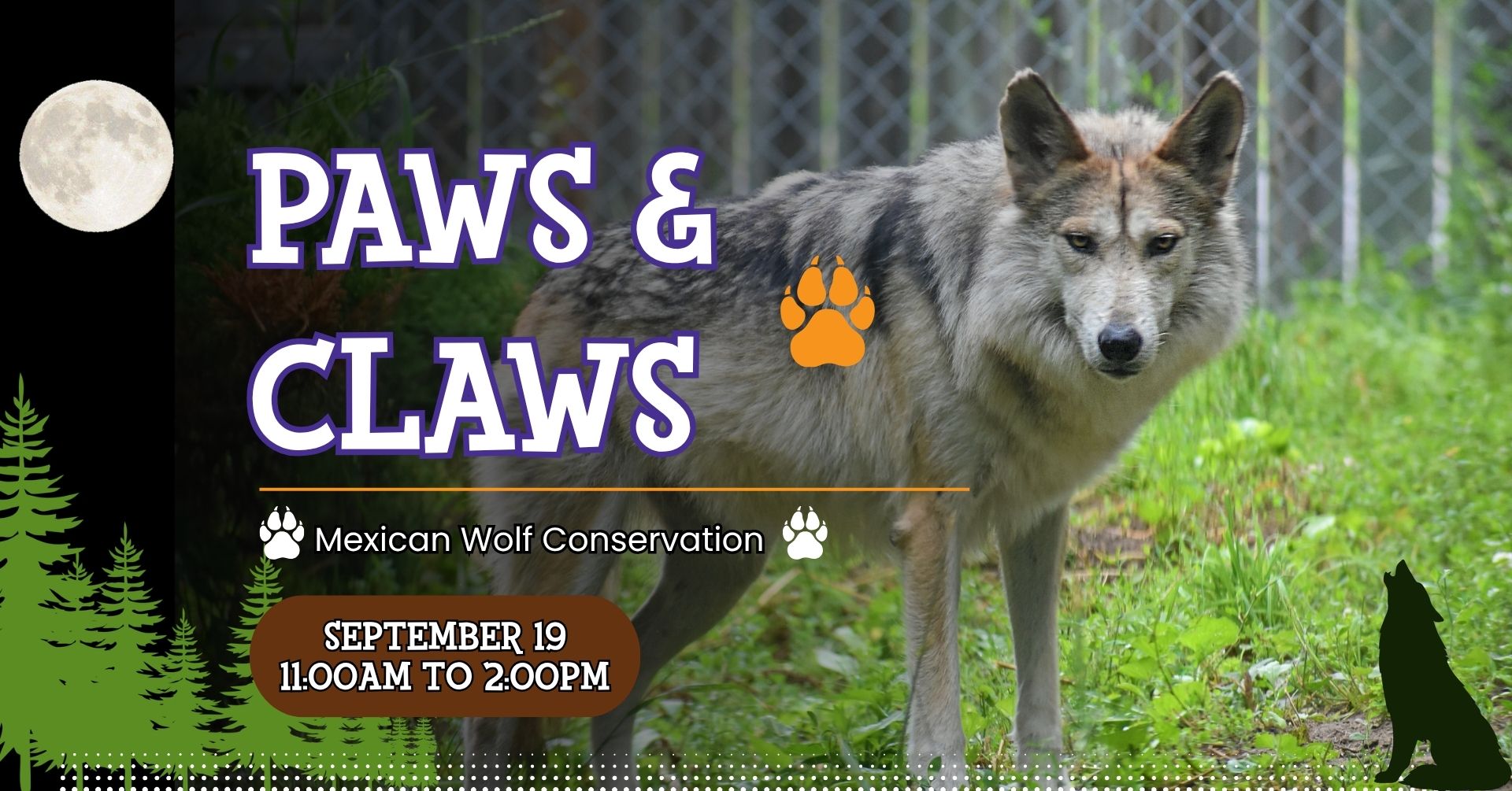 Paws & Claws banner with image of a Mexican Wolf for Paws & Claws Day on September 19 from 11:00am to 2:00pm